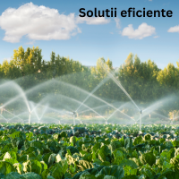 Solutii eficiente pentru orice tip de gradina.